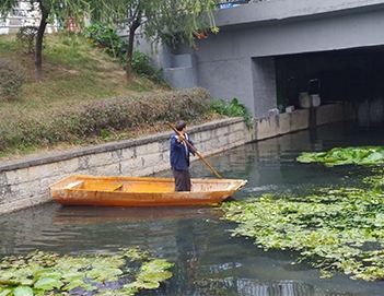 富营养化属于黑臭水体？富营养化不戴这“黑帽”