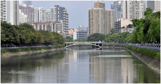 河道治理是通过人工采取一系列修复措施，使得河道的水生态系统恢复并趋于自然状态。